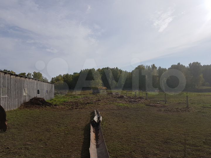 Участок 1,5 га (СНТ, ДНП)