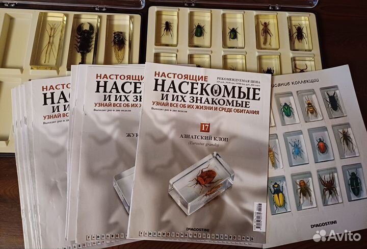 Коллекция Насекомые и их знакомые