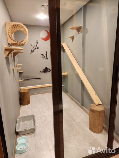 Зоогостиница для кошек. Передержка