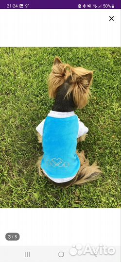 Толстовка для собак