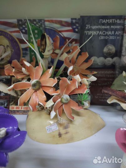 Сувениры из ракушек