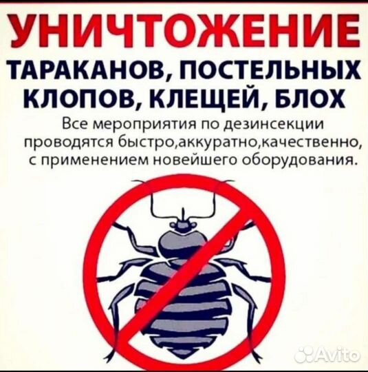 Дезинфекция