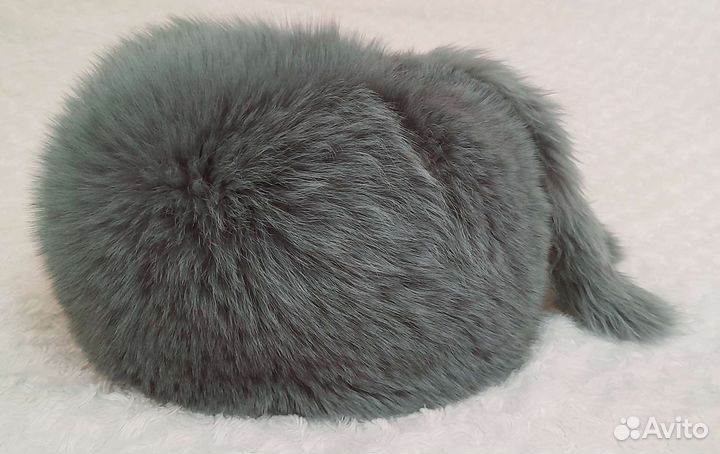 Шапка Женская, Зима, Натур.Мех Песец + Новый Шарф