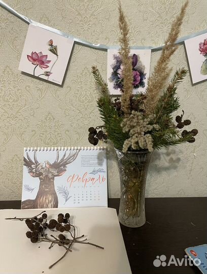 Ольховые шишки