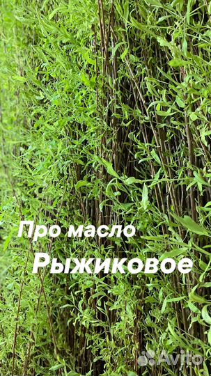 Масло сыродавленное