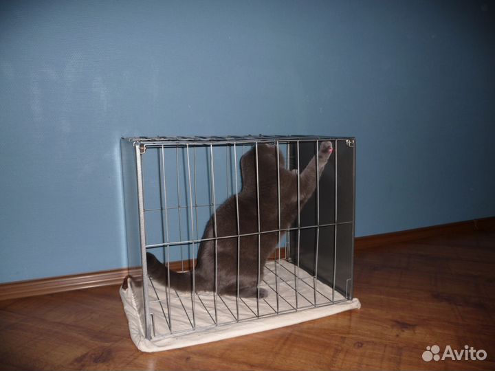 Клетка для выставок