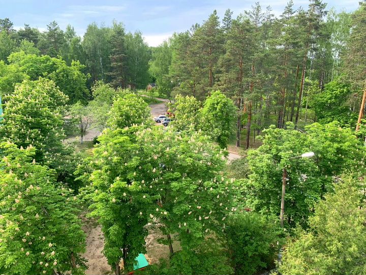 2-к. квартира, 55 м², 5/5 эт.