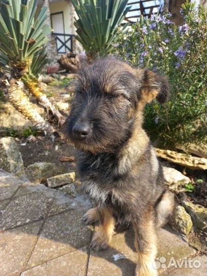 Не родилась красивой. Совсем не замечают Чару