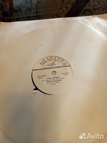 Венилоаые пластинки