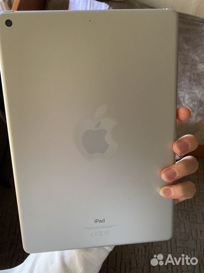 iPad