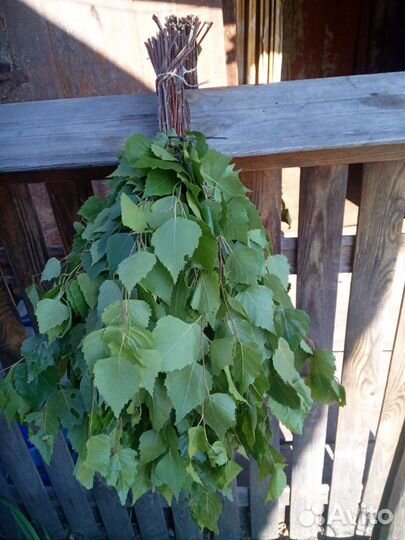 Веники для бани