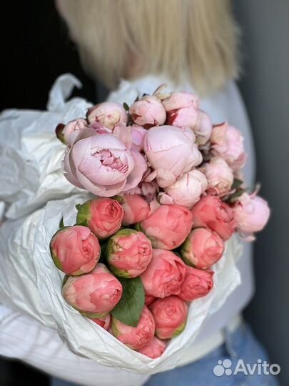 Пионы оптом