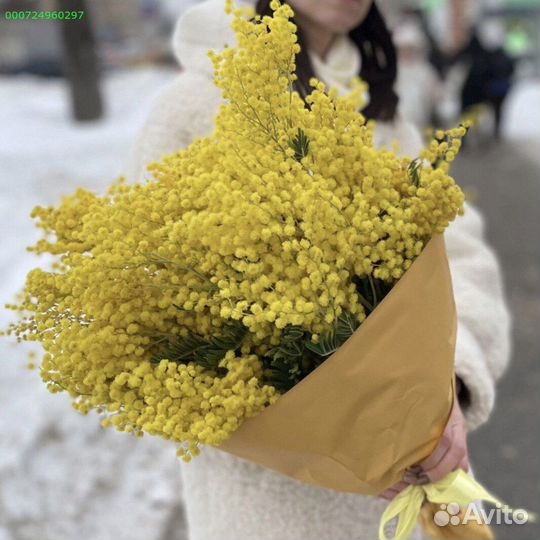 Букеты из мимозы (Арт.38335)