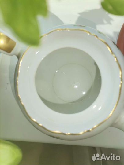 Чайник заварочный фарфор Розы