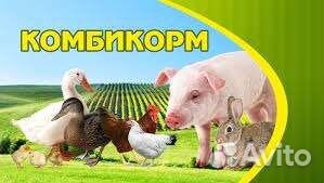 Комбикорм для с/х животных и птиц