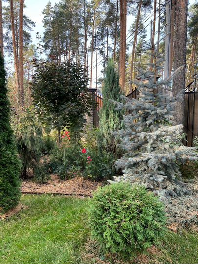 Дом 407,5 м² на участке 50 сот.