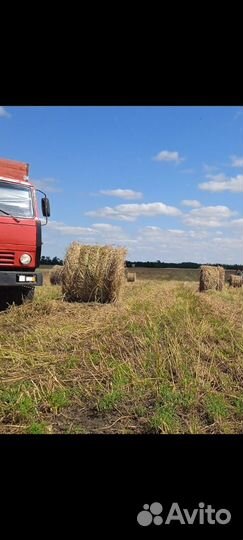 Сено в тюках