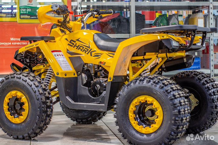 Квадроцикл TAO motors ATV shark (125cc) - L