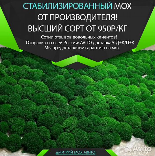Стабилизированный мох пальчики с доставкой