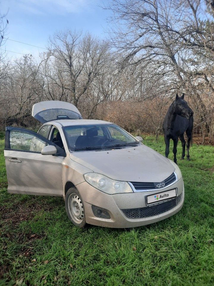Chery Bonus (A13): фото владельца