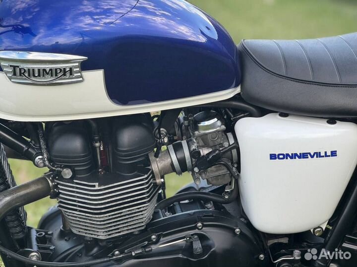 Triumph Bonneville 2014