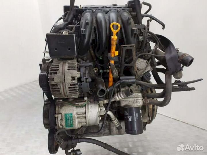 Двигатель Volkswagen Golf 4 (1997 - 2006) 1.6 AKL