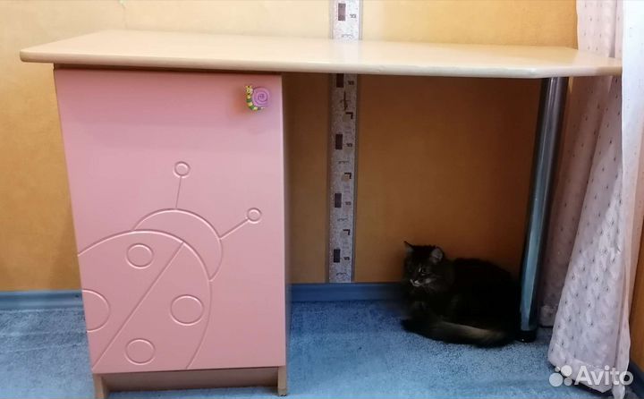 Детский письменный стол