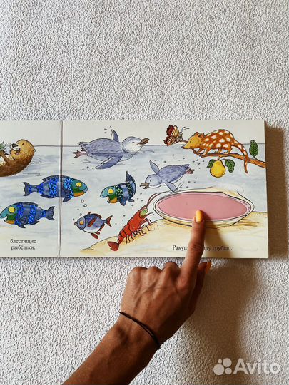 Сенсорная книга Зоопарк Мэтью Ван Флит