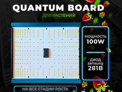 Quantum board 100W Светильник диодный для растений