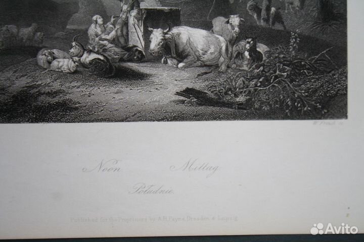 Антикварная немецкая гравюра