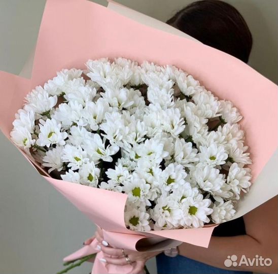 Купить хризантемы оптом