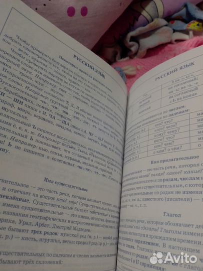 Дневник школьный книга