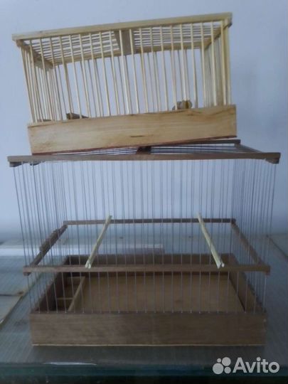 Певчие птицы