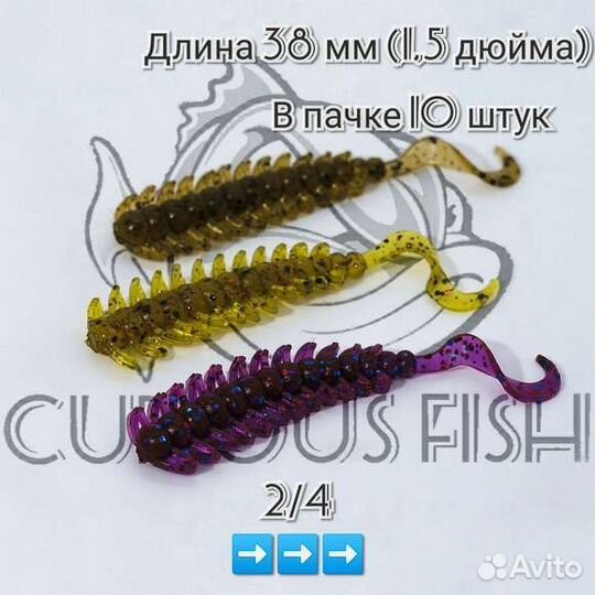 Curious Fish Brabsy 1.5 дюйма (38 мм)
