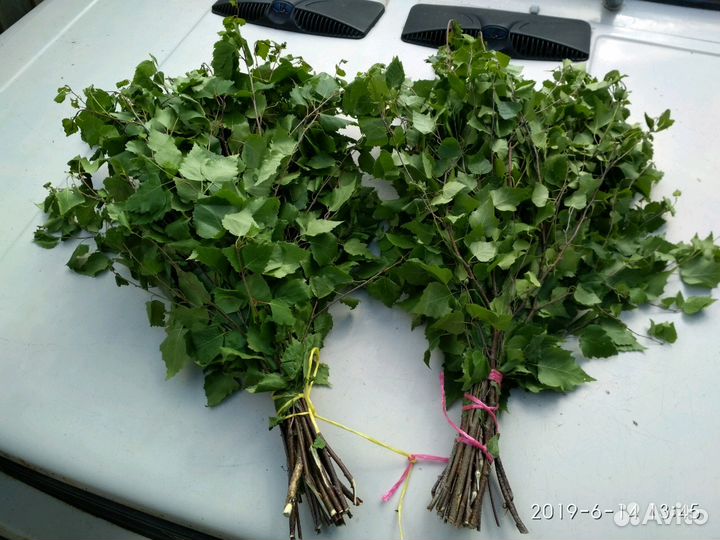 Веники березовые свежие