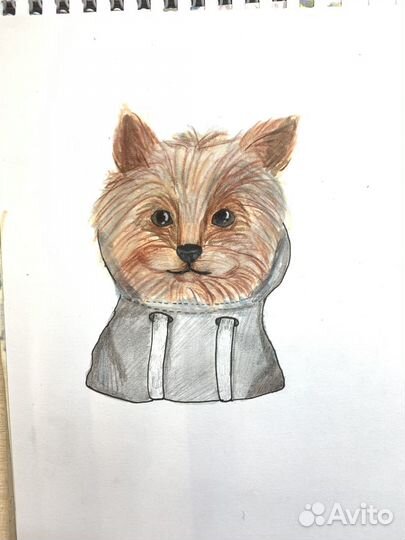 Нарисую вашего питомца