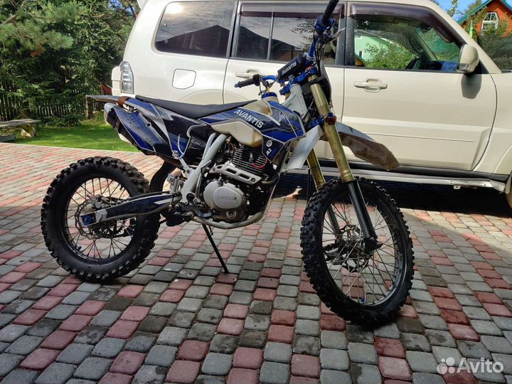 Avantis A2 lux 172 fmm