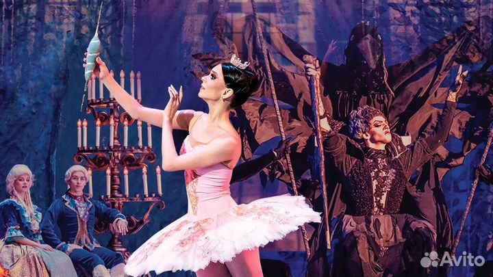 Билеты на балет Спящая красавица 1/3