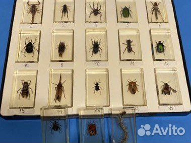 Газеты, журналы