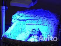 Фотолампа от желтушки у новорожденных малышей напр