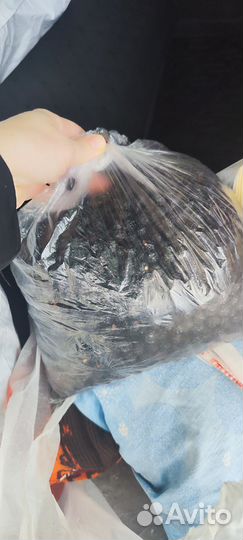 Дары природы