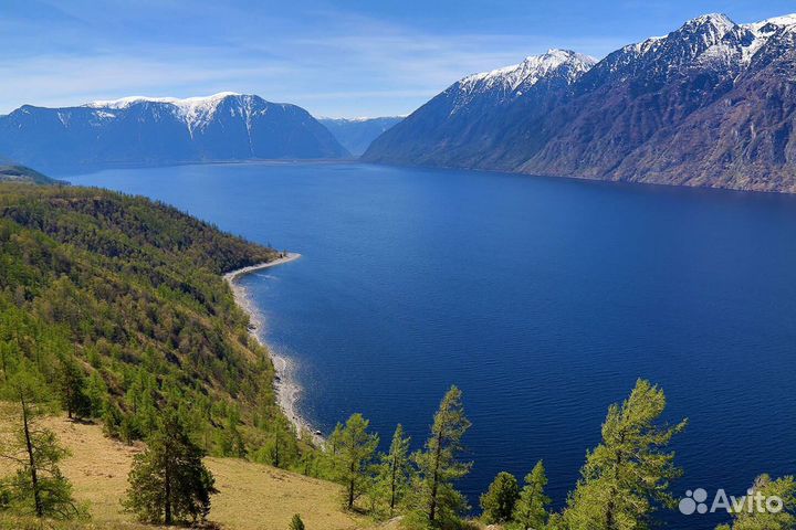 Авторские туры