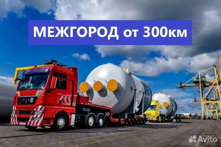 Аренда Трала