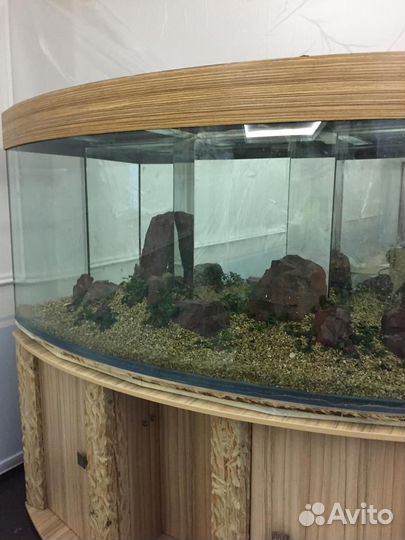 Аквариум с тумбой 600литров
