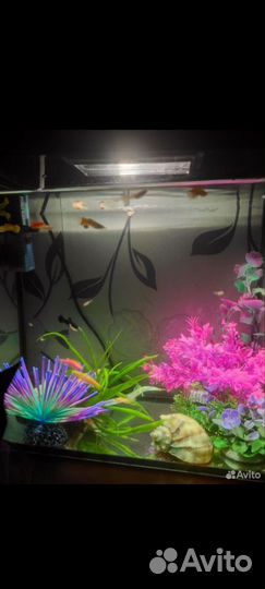 Украшение для аквариума