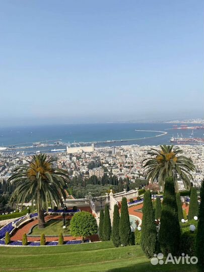 Репетитор по ивриту