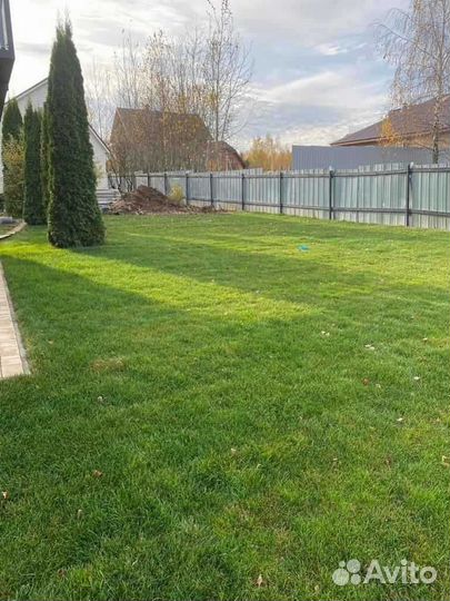 Укладка рулонного газона