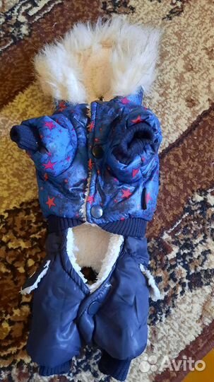 Комбинезон для маленькой собаки