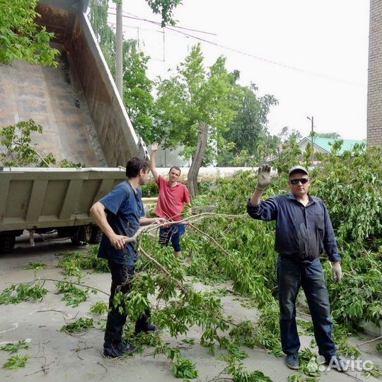Вывоз мусора с грузчиками