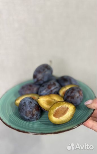 Овощи и фрукты оптом